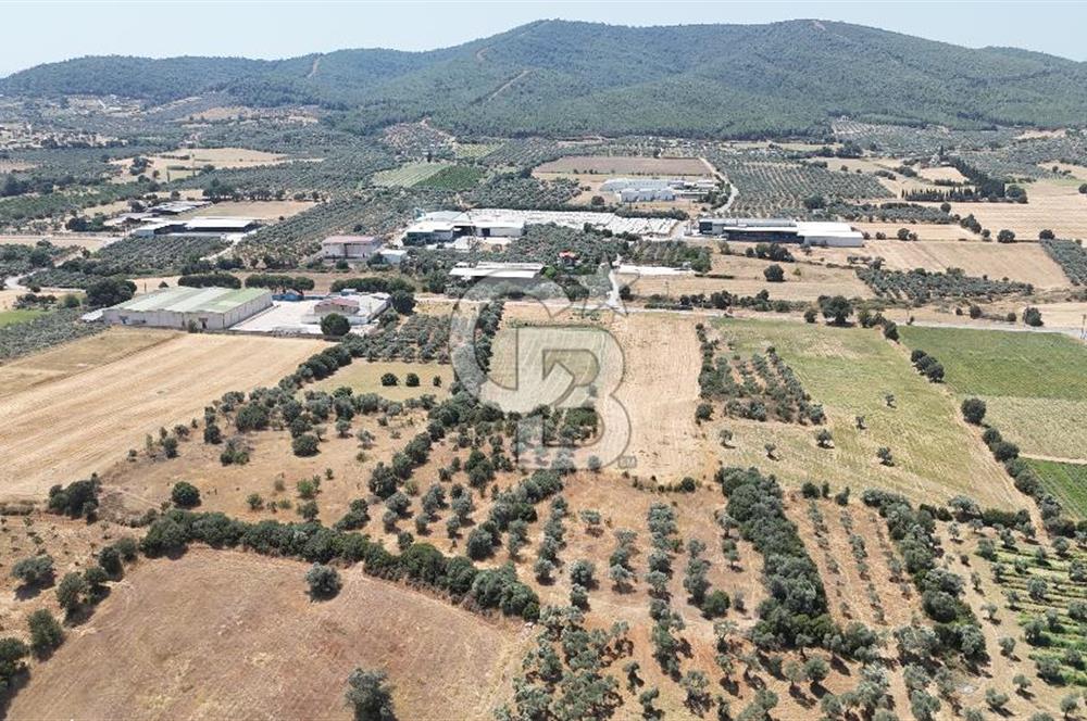 Torbalı Sanayi Bölgesinde AnaYola Cepheli Yatırımlık Tarla