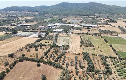 Torbalı Sanayi Bölgesinde AnaYola Cepheli Yatırımlık Tarla