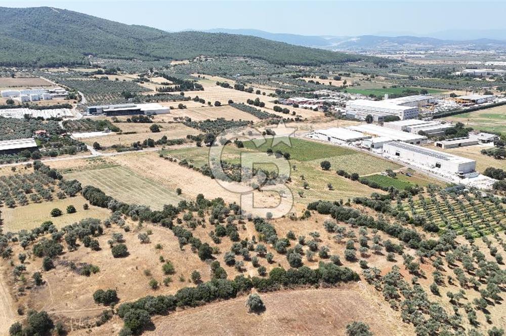 Torbalı Sanayi Bölgesinde AnaYola Cepheli Yatırımlık Tarla