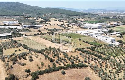 Torbalı Sanayi Bölgesinde AnaYola Cepheli Yatırımlık Tarla