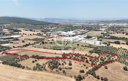 Torbalı Sanayi Bölgesinde AnaYola Cepheli Yatırımlık Tarla