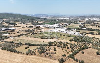 Torbalı Sanayi Bölgesinde AnaYola Cepheli Yatırımlık Tarla