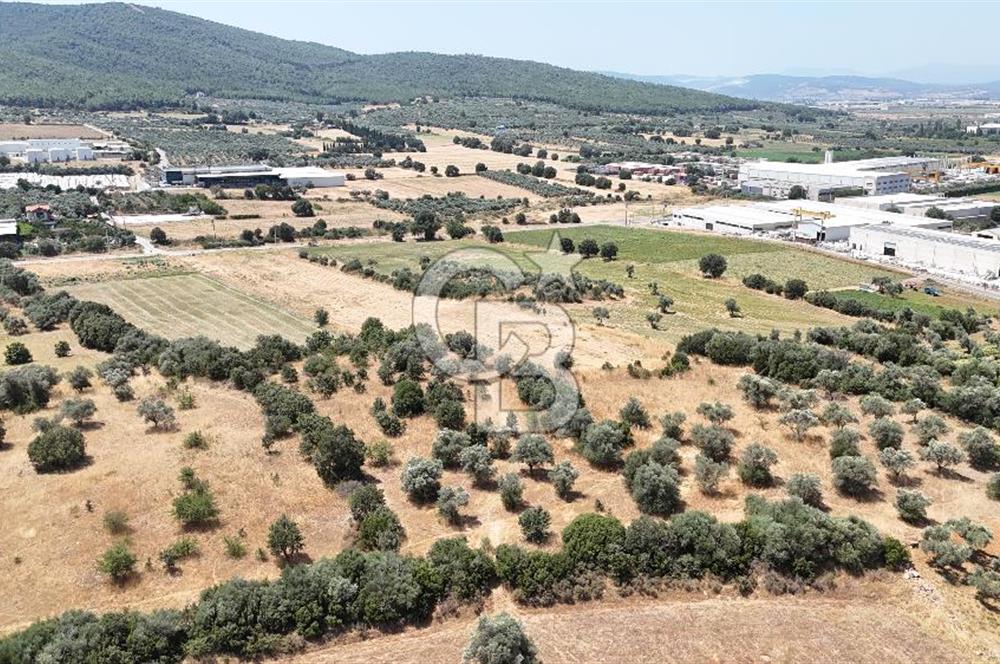 Torbalı Sanayi Bölgesinde AnaYola Cepheli Yatırımlık Tarla