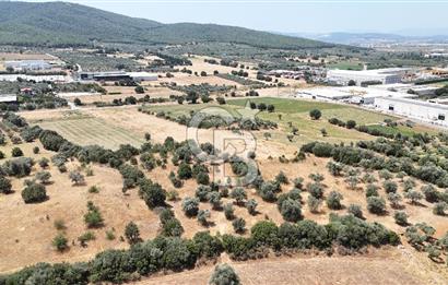 Torbalı Sanayi Bölgesinde AnaYola Cepheli Yatırımlık Tarla