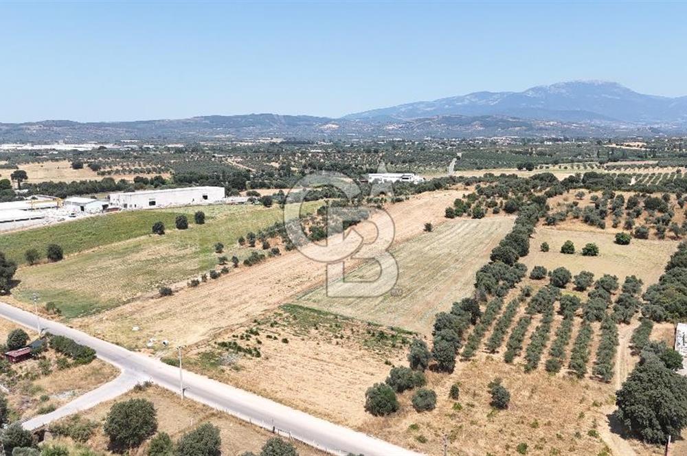 Torbalı Sanayi Bölgesinde AnaYola Cepheli Yatırımlık Tarla