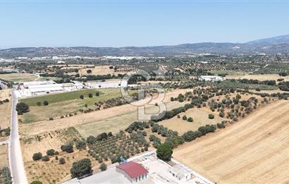 Torbalı Sanayi Bölgesinde AnaYola Cepheli Yatırımlık Tarla