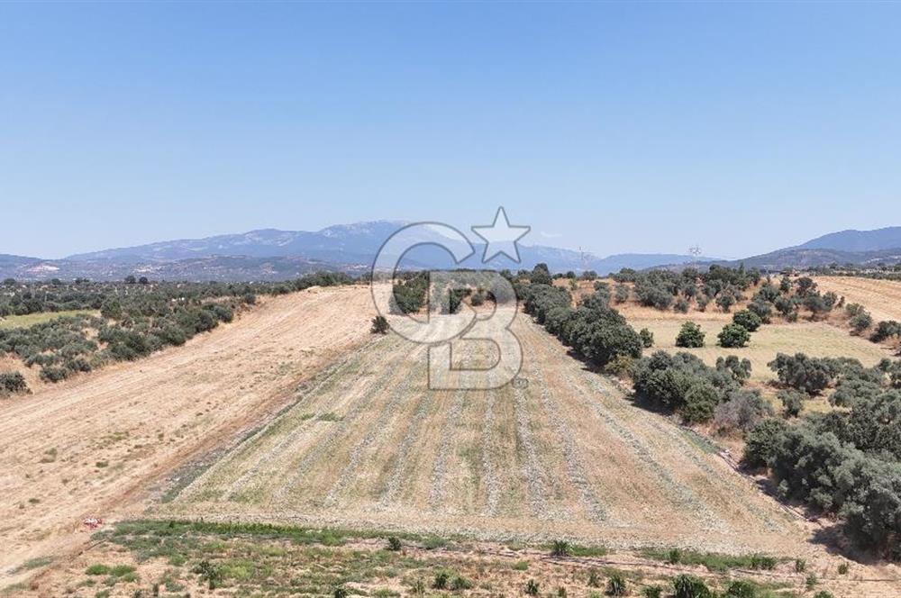 Torbalı Sanayi Bölgesinde AnaYola Cepheli Yatırımlık Tarla