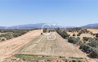 Torbalı Sanayi Bölgesinde AnaYola Cepheli Yatırımlık Tarla