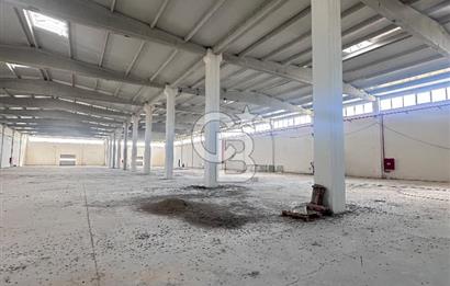 Dev firsat bos fabrika