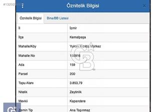 Kemalpasa'da satilik zeytinlik - 1 - 362288