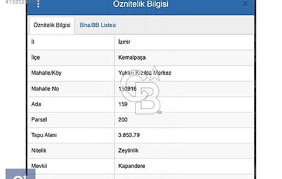 Kemalpasa'da satilik zeytinlik