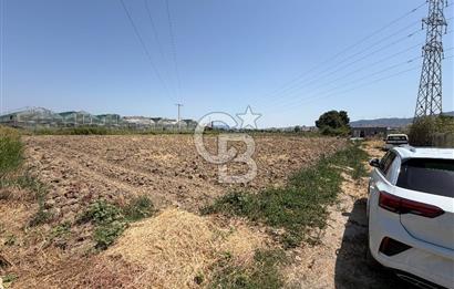 MENEMEN KOYUNDERE’DE SATILIK MÜSTAKİL TARLA
