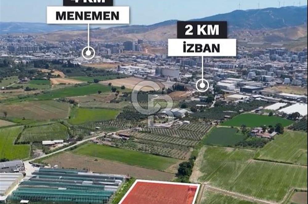 MENEMEN KOYUNDERE’DE SATILIK MÜSTAKİL TARLA