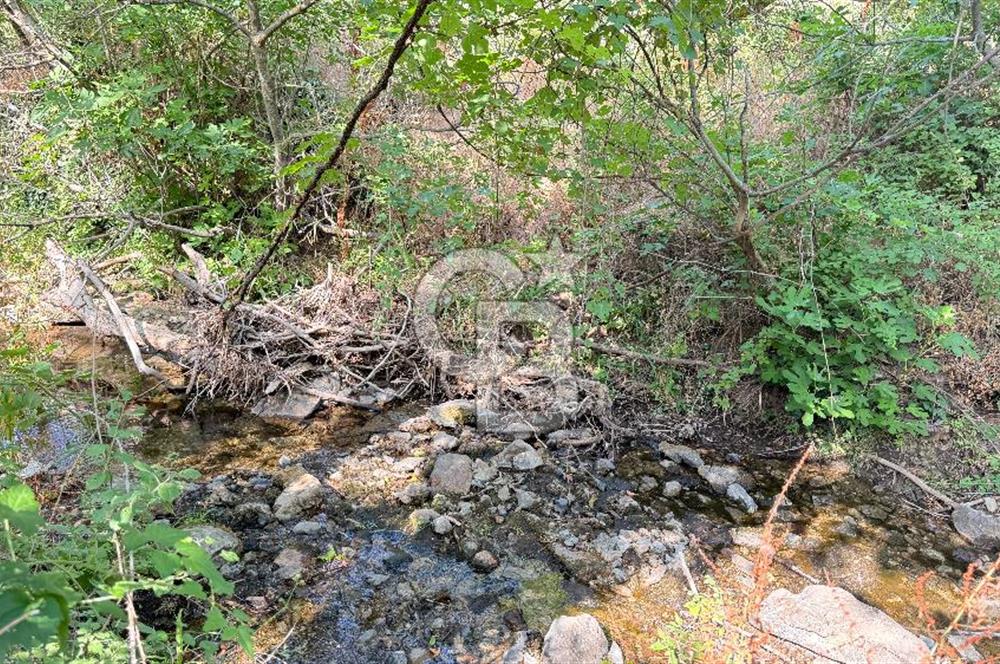 BAYRAMİÇ TOLUKLAR KÖYÜ DERE KENARI ACİL SATILIK FIRSAT TARLA!!!