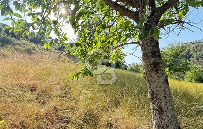 BAYRAMİÇ TOLUKLAR KÖYÜ DERE KENARI ACİL SATILIK FIRSAT TARLA!!!