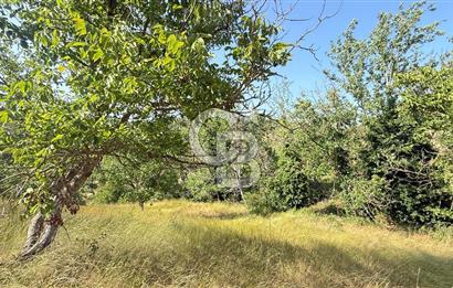 BAYRAMİÇ TOLUKLAR KÖYÜ DERE KENARI ACİL SATILIK FIRSAT TARLA!!!