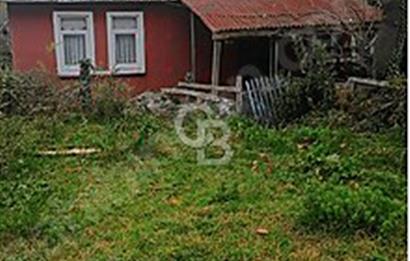 Kurucaşile müstakil konut ve bahçe hissesi satılık