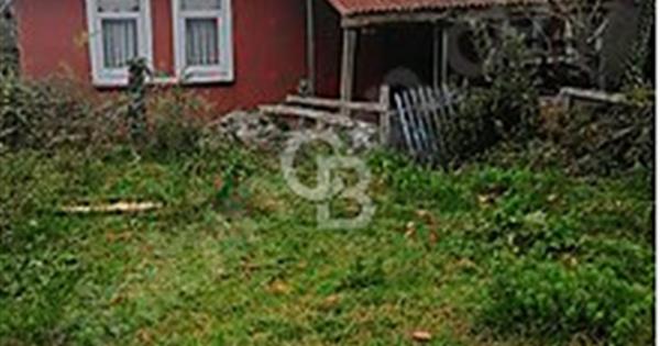 Kurucaşile müstakil konut ve bahçe hissesi satılık - 362292
