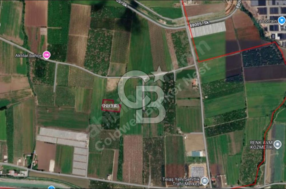 Küçükdikili' de ,5.568 m2, Tek Tapu Satılık Tarla
