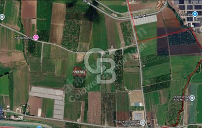 Küçükdikili' de ,5.568 m2, Tek Tapu Satılık Tarla