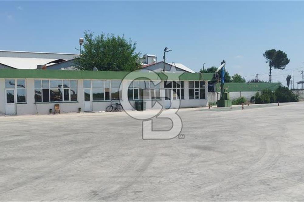 30.000 Ton Kapasiteli Hububat Silosu,Komple Tesis, Hazır Altyapı