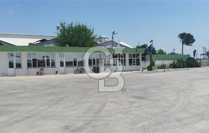 30.000 Ton Kapasiteli Hububat Silosu,Komple Tesis, Hazır Altyapı