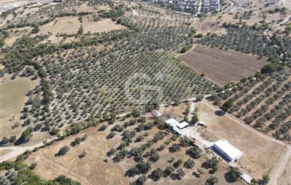 Bergama Kurtuluş Mah. Dev Yatırım Fırsatı 27.873 m² arazi