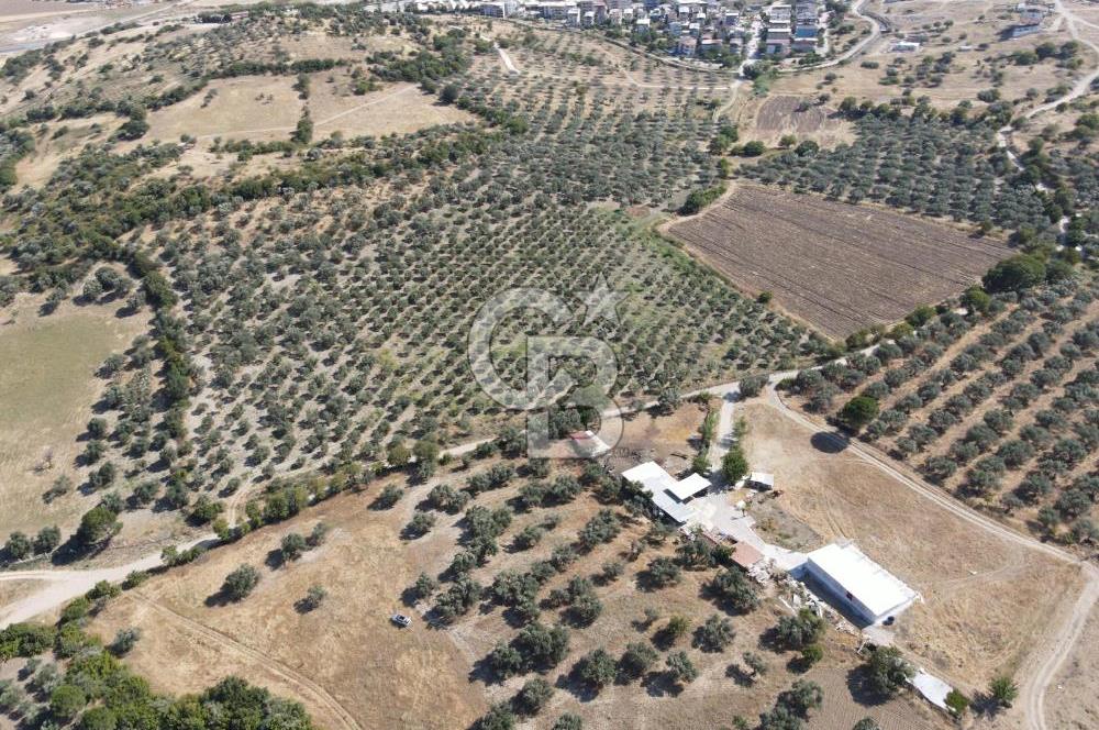 Bergama Kurtuluş Mah. Dev Yatırım Fırsatı 27.873 m² arazi