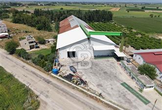 30.000 Ton Kapasiteli Hububat Silosu,Komple Tesis, Hazır Altyapı - 1 - 362321