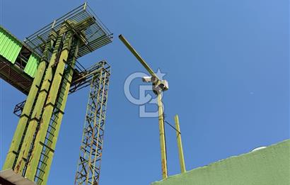 30.000 Ton Kapasiteli Hububat Silosu,Komple Tesis, Hazır Altyapı