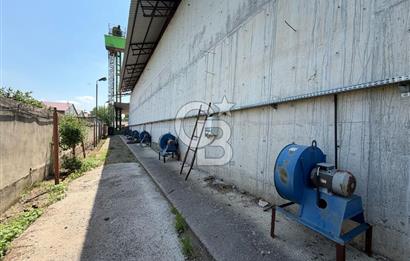 30.000 Ton Kapasiteli Hububat Silosu,Komple Tesis, Hazır Altyapı