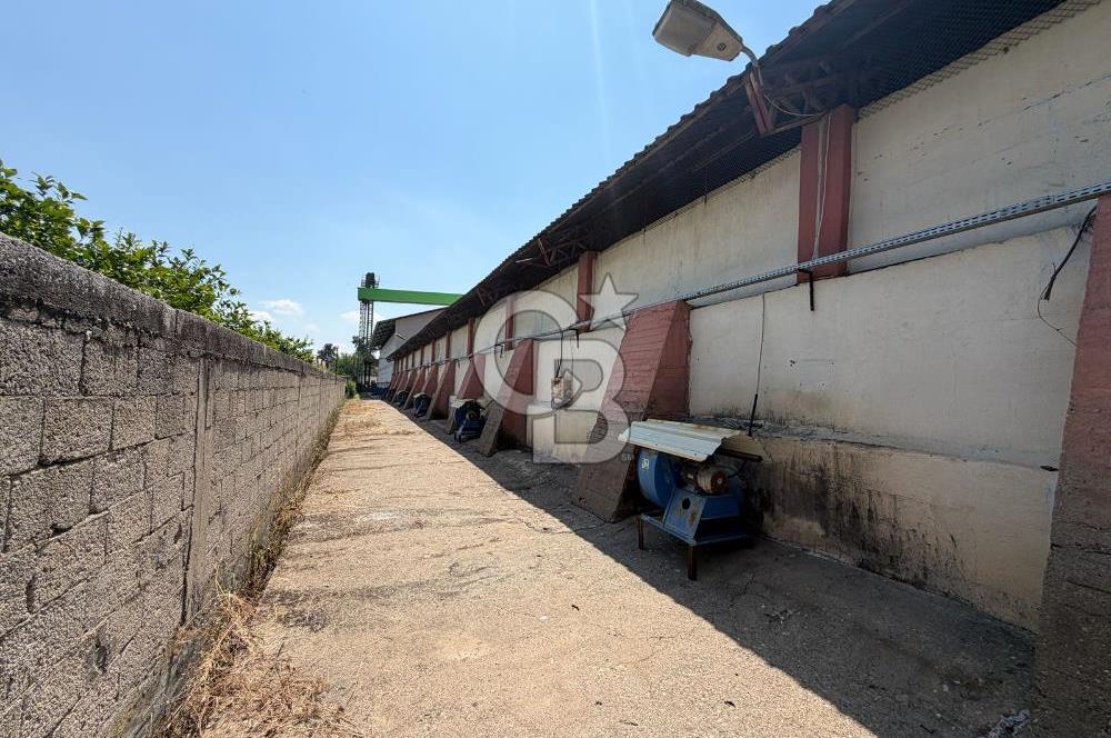 30.000 Ton Kapasiteli Hububat Silosu,Komple Tesis, Hazır Altyapı