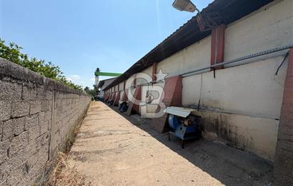 30.000 Ton Kapasiteli Hububat Silosu,Komple Tesis, Hazır Altyapı
