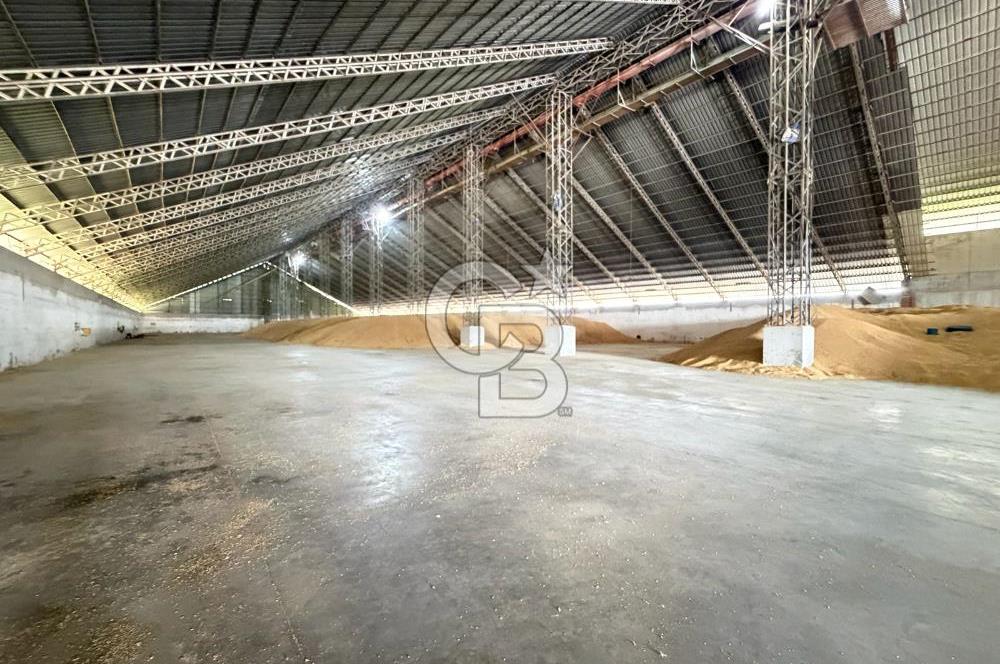 30.000 Ton Kapasiteli Hububat Silosu,Komple Tesis, Hazır Altyapı