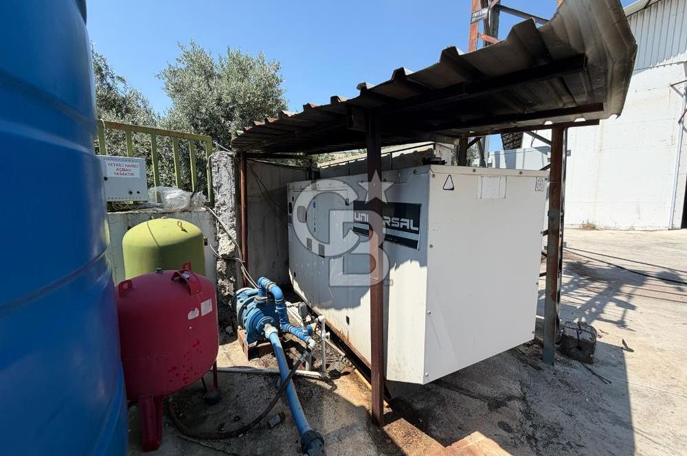 30.000 Ton Kapasiteli Hububat Silosu,Komple Tesis, Hazır Altyapı