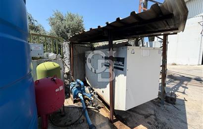 30.000 Ton Kapasiteli Hububat Silosu,Komple Tesis, Hazır Altyapı