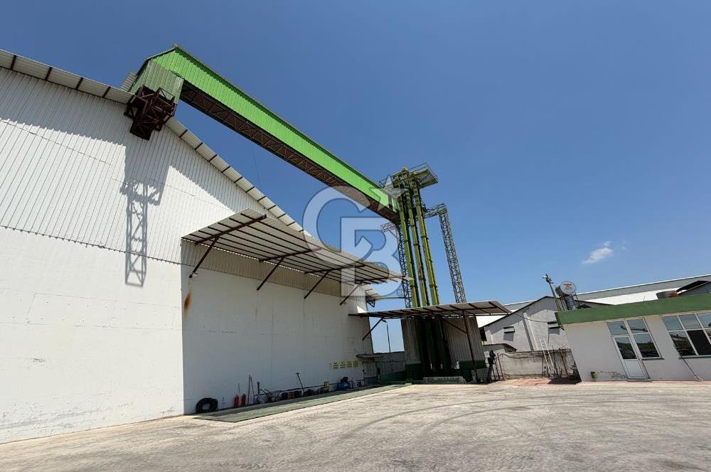 30.000 Ton Kapasiteli Hububat Silosu,Komple Tesis, Hazır Altyapı