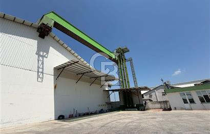 30.000 Ton Kapasiteli Hububat Silosu,Komple Tesis, Hazır Altyapı