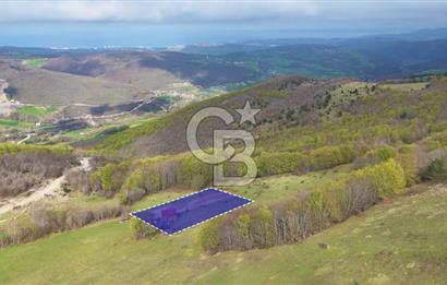 Samsun Atakum Akalan Mh. Yatırımlık Tarla