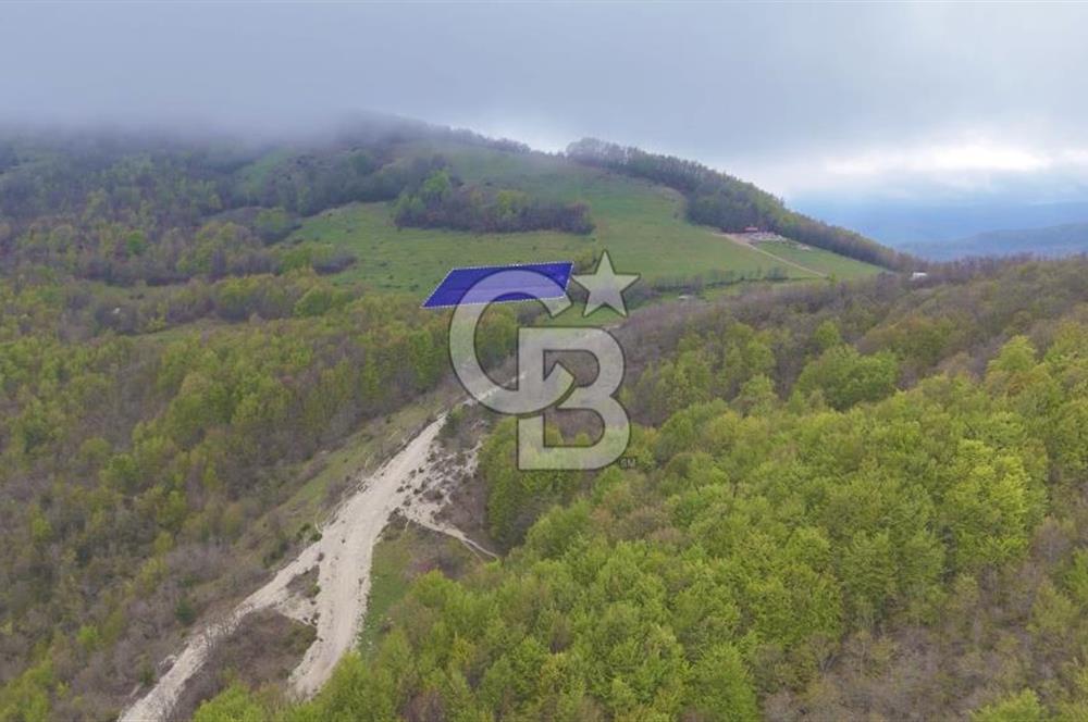 Samsun Atakum Akalan Mh. Yatırımlık Tarla