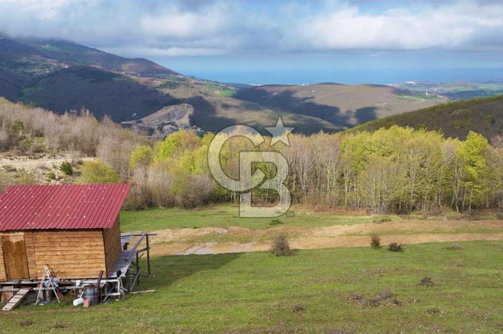 Samsun Atakum Akalan Mh. Yatırımlık Tarla