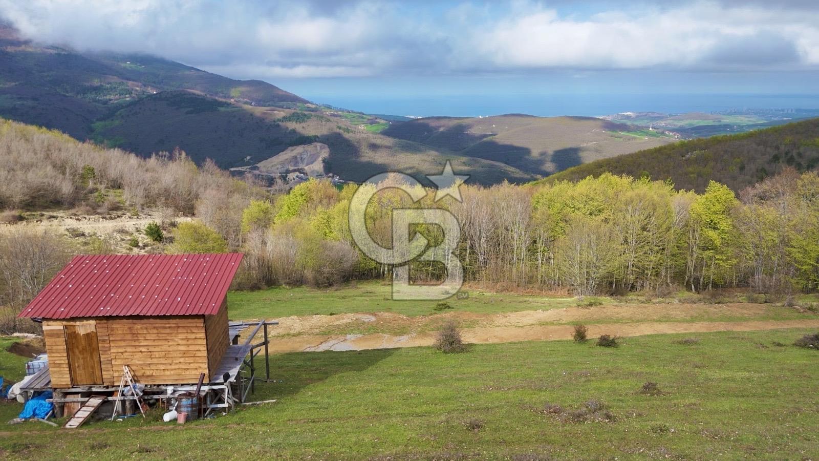 Samsun Atakum Akalan Mh. Yatırımlık Tarla