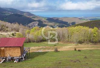 Samsun Atakum Akalan Mh. Yatırımlık Tarla - 1 - 362394