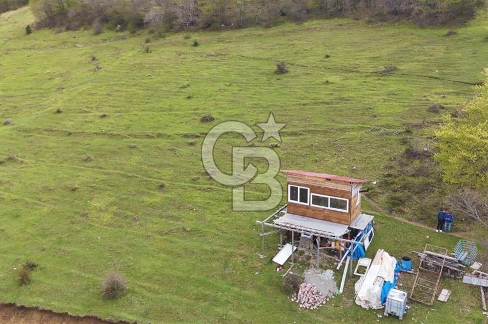 Samsun Atakum Akalan Mh. Yatırımlık Tarla