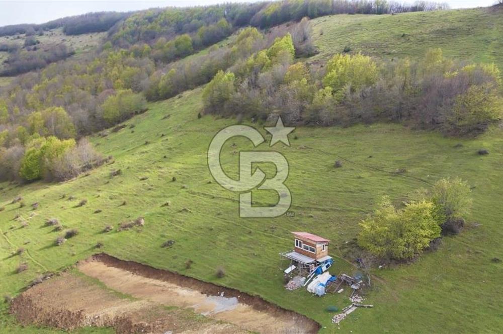 Samsun Atakum Akalan Mh. Yatırımlık Tarla