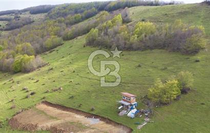 Samsun Atakum Akalan Mh. Yatırımlık Tarla