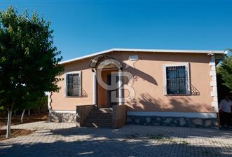 COLDWELL BANKER SAFİR'den MULLAKASIM da SATILIK ARSA VE EV - 6 - 362377