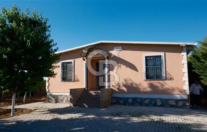 COLDWELL BANKER SAFİR'den MULLAKASIM da SATILIK ARSA VE EV