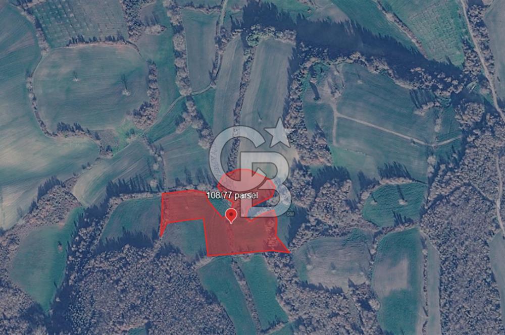 ÇATALCA YAZLIKKÖY'DE TEK TAPU SATILIK TARLA GÜÇLÜ YATIRIM