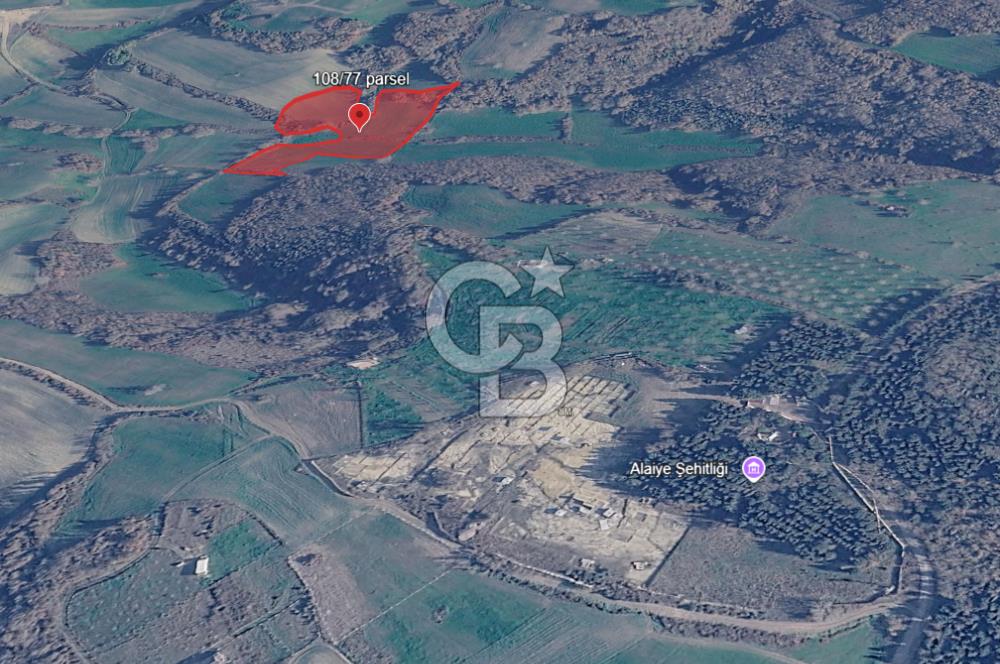 ÇATALCA YAZLIKKÖY'DE TEK TAPU SATILIK TARLA GÜÇLÜ YATIRIM